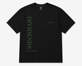 DIVIDENDS